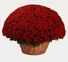 Премиум букет из: Розы в Ирбейском